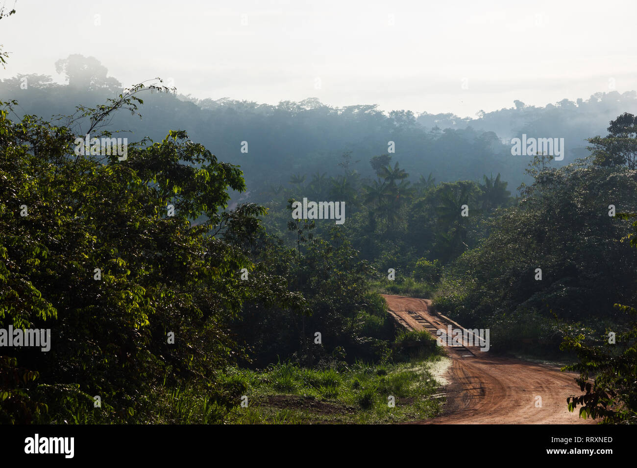 Trans-Amazonian Highway in Brasilien während der trockenen Jahreszeit Stockfoto
