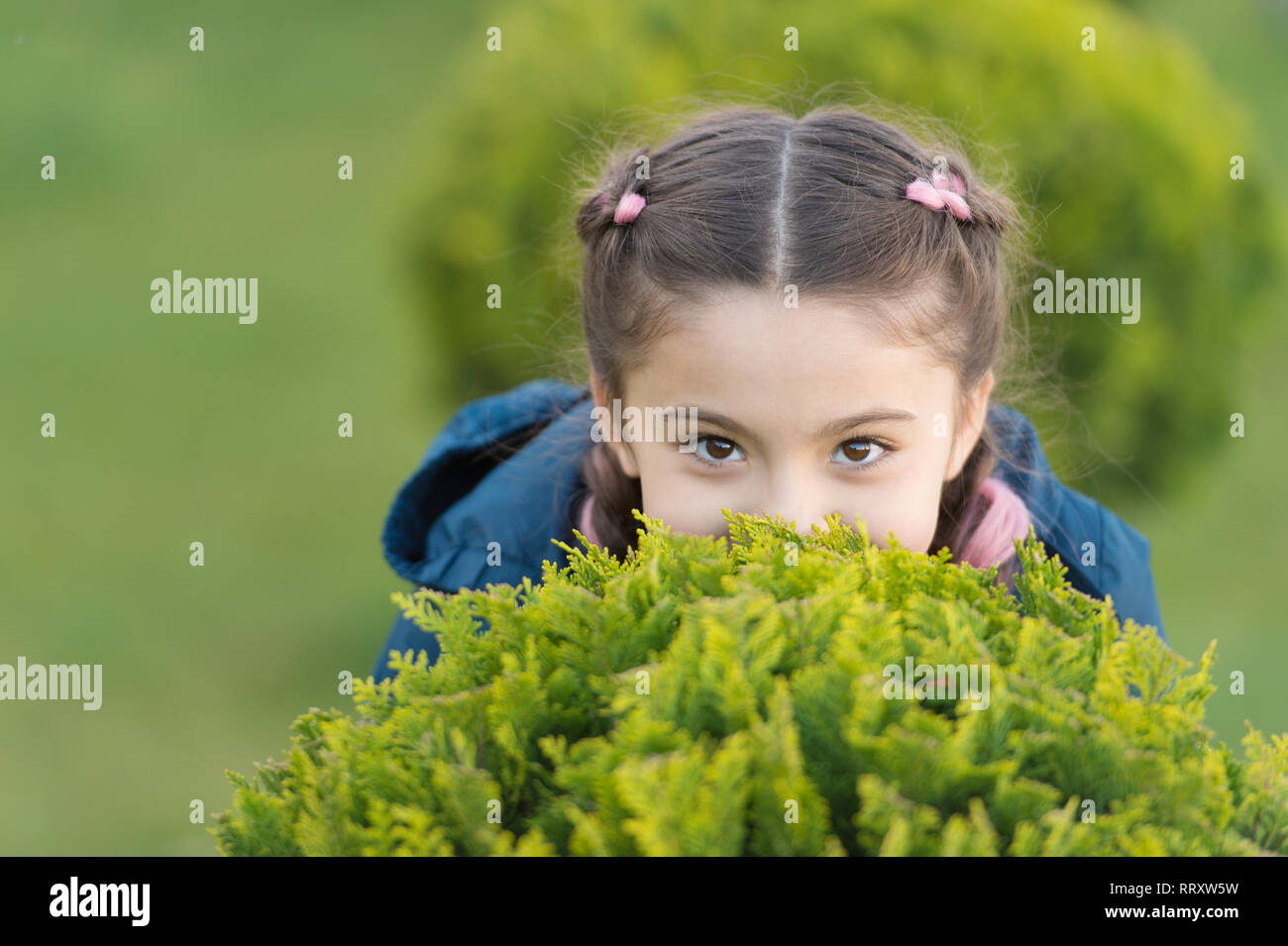 Madchen Cute Kid Grunes Gras Hintergrund Gesunde Emotionale Gluckliches Kind Entspannung Im Freien Was Macht Kinder Glucklich Madchen Zopfe Frisur Entspannen Gerne Ausblenden Spiel Im Freien Verstecken Spielen Stockfotografie Alamy