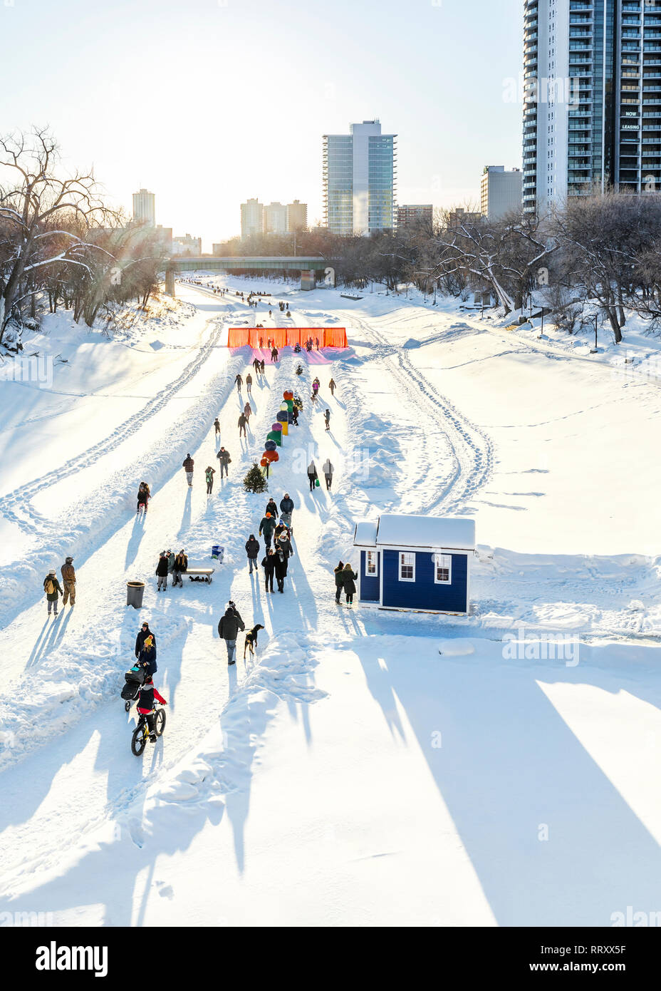 Ice Skater, Radfahrer, Wanderer auf dem gefrorenen Assiniboine River, Teil des Red River gegenseitige Trail, Gabeln, Winnipeg, Manitoba, Kanada. Stockfoto