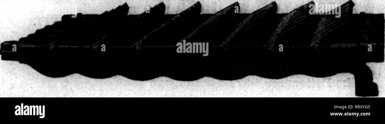 . Floristen Review [microform]. Blumenzucht. 1 ^"> pi "innj-iJi.^ ifniFi '^'^ srwjr;'"". • 7", "*", "-W' P^r v' tt*'*." . '•'?" / | '*r'-." PJ? 122 TTie Floristen NOVBHBEK 14, 1912. "! TRAVIS GEWÄCHSHAUS ROCKER GITTER r. Verstehen Sie die Vorteile Kocker Roste haben über stetionary Gitter? Praktische Rocker Roste werden alle Räume zu öffnen, die vollständige Verbrennung von Gasen. Schlacke und Asche sammeln bald nach Hres gestartet werden, und Sie sollten entfernt werden. Wie können Sie Ihre sind durch Schließen der Lufteinlassklappe, sodass Sie es, indem Sie das Gitter Öffnungen überprüfen können Stockfoto