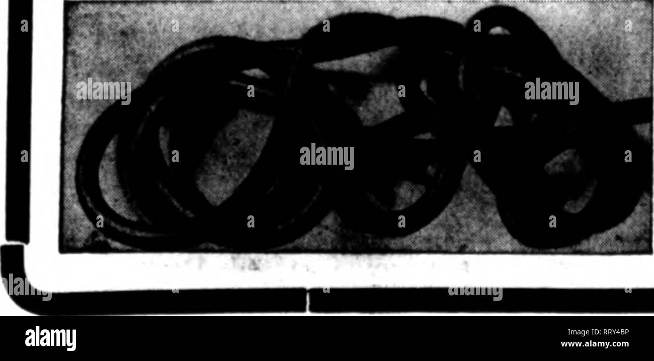 . Floristen Review [microform]. Blumenzucht. Basicets hängen Sie diese jetzt benötigen. Unsere bas-ket werden mit größtmöglicher Sorgfalt erstellt - Ihre Wahl aus verzinktem oder Kupfer zum gleichen Preis. In. 6. 8. 10. 12. 14. 16. 18. 21. 24. Fancy Top Pro doz. ... ULIO.... 1,60.... 2,00.... 2,50.... 3.00.... 3.50.... 4.60.... 5,50.... 8.00 Plain Top In. 6. 8. 10. 12. 14. 16. 18. 21. 24. Pro doz. .. $ 0,85.. 1.20.. 1.65.. 2.00.. 2.50.. 3.00.. 4.00.. 5.00.. 7,60 REVERO des Best Schlauch Hersteller Preise, 17c pro Fuß. In 500-lose, 16 c pro Fuß, Schneiden beliebiger Länge und gekoppelt. Skonti wi Stockfoto