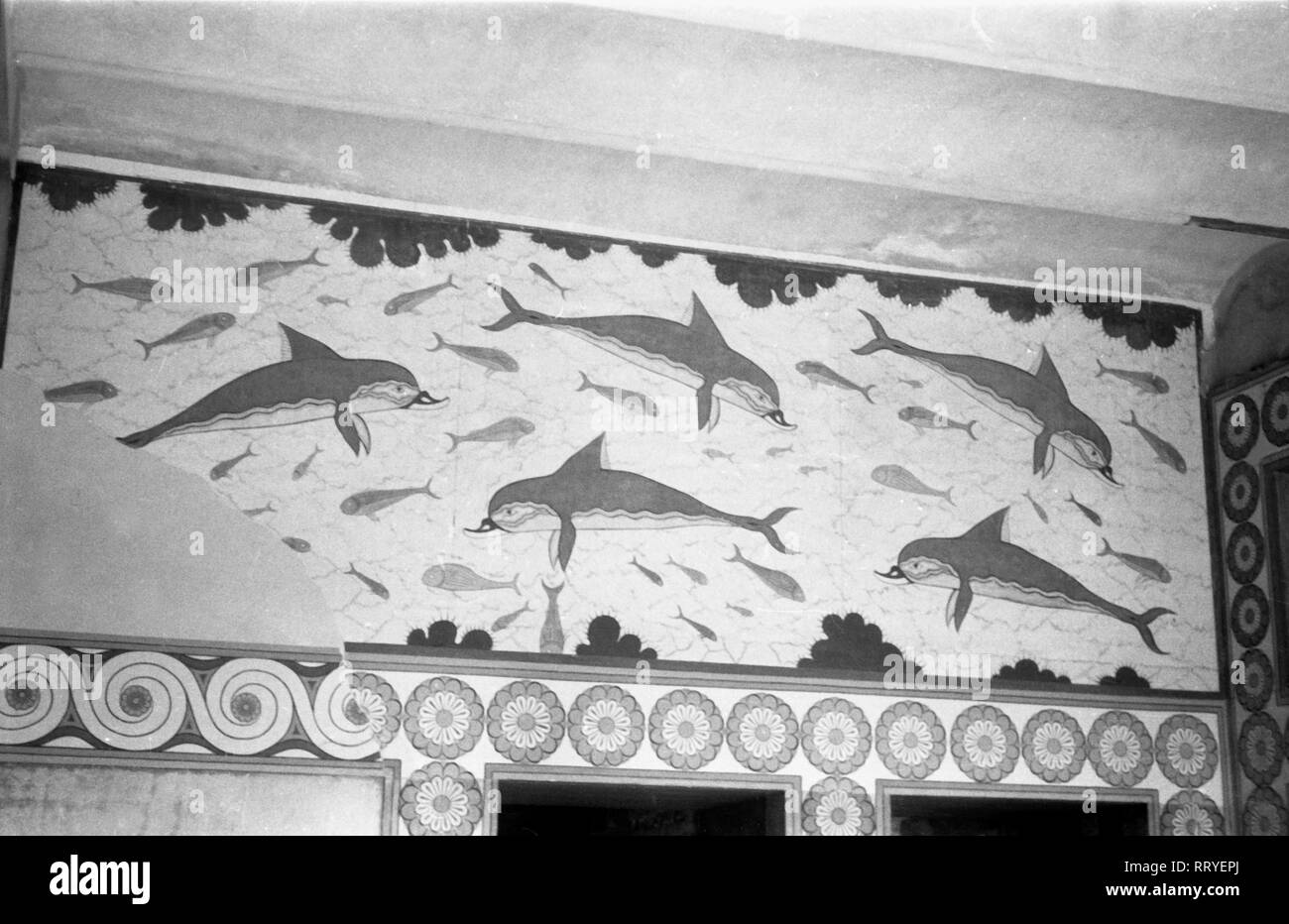 Spanien, Griechenland - Delphinfries aus dem Palast von Knossos auf Kreta, Griechenland, 1950er Jahre. Dolphin Fries An der Palast von Knossos auf Kreta, Griechenland, 1950. Stockfoto