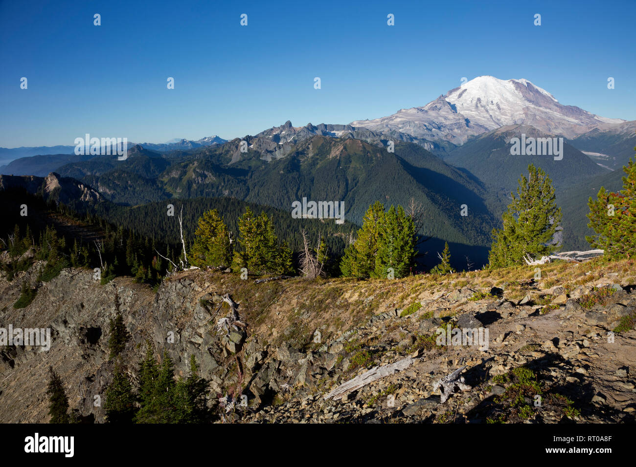 WA 15813-00 ... WASHINGTON - Cowlitz Schornsteine, Cowlitz Teilen, Goat Island Berge und den Mount Rainier von Crystal Peak in Mount Rainier National gesehen Stockfoto
