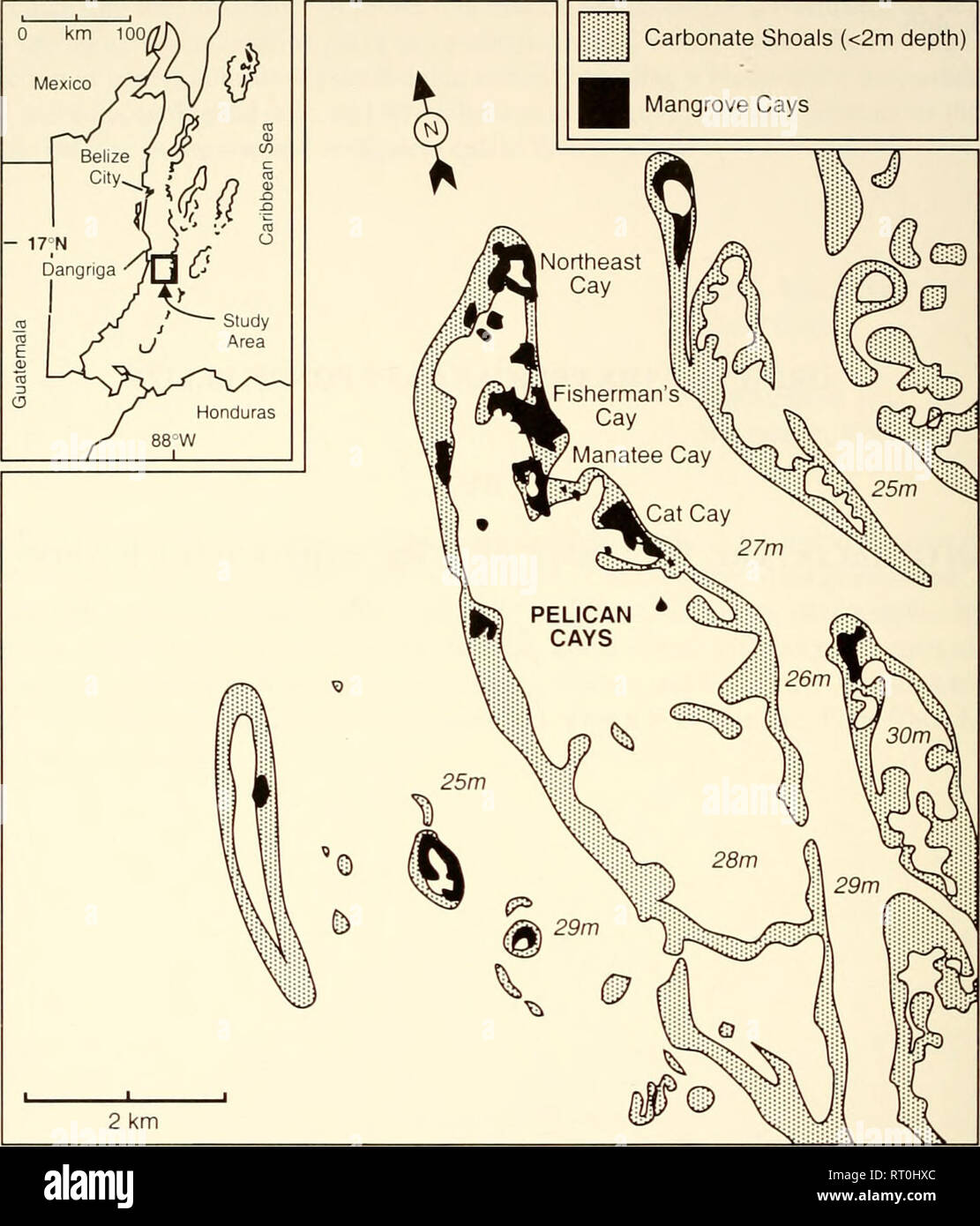. Atoll Forschung Bulletin. Korallenriffe und Inseln; Meeresbiologie; Marine Sciences. Abbildung 1. Index Karte mit der Lage der Pelican Cays in der belizischen Barrier Reef Komplex. Von einem Landsat TM Bild 18. September 1987 erworbenen geändert.. Bitte beachten Sie, dass diese Bilder sind von der gescannten Seite Bilder, die digital für die Lesbarkeit verbessert haben mögen - Färbung und Aussehen dieser Abbildungen können nicht perfekt dem Original ähneln. extrahiert. Smithsonian Institution. Drücken Sie; National Research Council (U. S.). Pacific Science Board, Smithsonian Institution, National Museum o Stockfoto