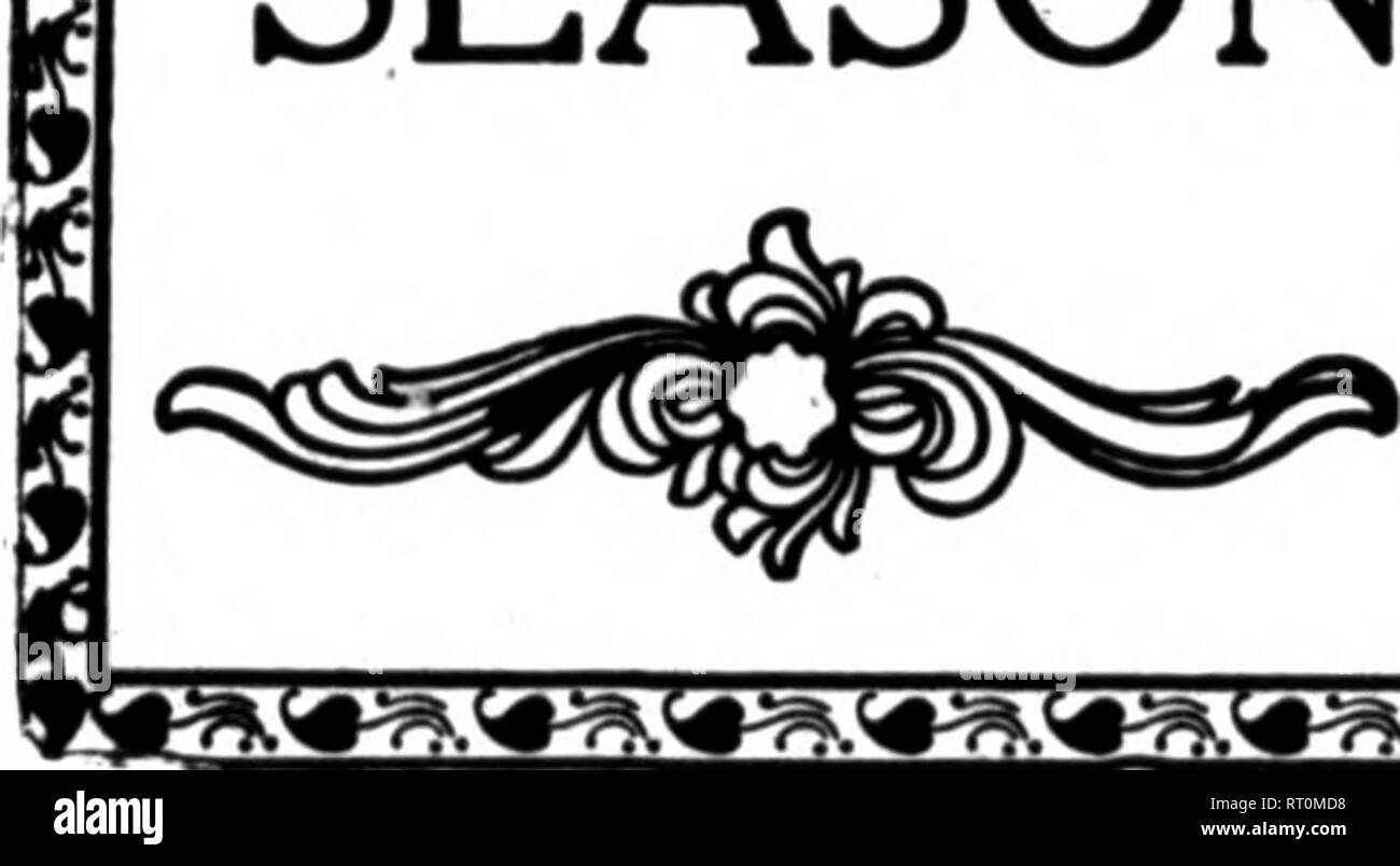 . Floristen Review [microform]. Blumenzucht. 12 ThcWcckly Floristen Bewertung* 4. Januar 1912. Die alkaloide von Pflanzen, einige von ihnen sind giftig und andere sind Val -&gt; Windows-meldung Arzneimittel. Alle von ihnen sind Basen; das heißt, sie mit Säuren unite Salze zu bilden und in vielen Fällen medizinisch verwendet werden. Alle Alkaloide enthalten Auto-bon,^ Stickstoff und Wasserstoff, und USU-Ally bxygen. Einige der wichtigsten sind theine von coflfee und Tee, Nico-Tine von Tabak, Morphin aus Opium und Chinin aus peruanischen Rinde, sowie Strychnin, Atropin, Kokain und andere. Weihnachtssterne in Kentucky. Poi Stockfoto