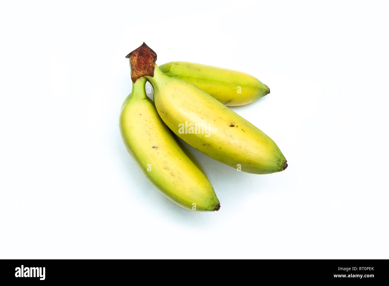 Ein Bild von einem üblichen Bündel baby Bananen. Sie sind klein und süß. Gute Snacks für Sie. Auf weissem Hintergrund. Stockfoto