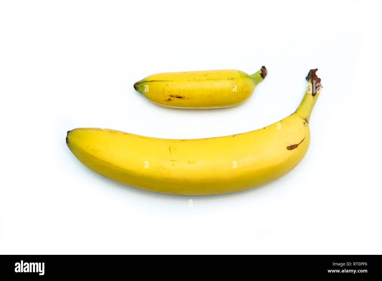 Ein Vergleich von zwei üblichen Bananen. Eine normale und eine Baby Banane. Stockfoto