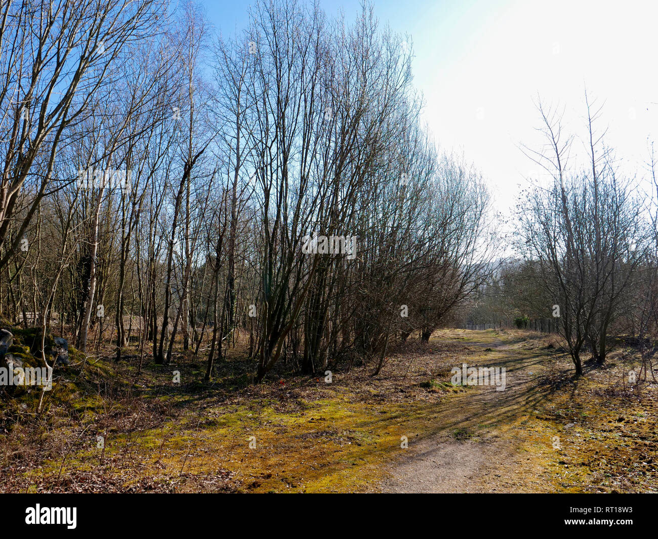 Wirksworth, Derbyshire Dales, UK. 27. Feb 2019. Konkrete Bausteine auf dem Parkplatz platziert Wirksworth Beauty Spot in Besitz von wirksworth Stadt Rates (Arbeit) nach Derbyshire Dales District Council (konservativ) auf einem Standortwechsel BRT Reisenden Camp zu umstrittenen Land neben Stoney Holz, Wirksworth, Derbyshire Dales gestimmt zu schützen. Wirksworth Stadtrat Suchen Rechtliche Hinweise die Bäume zu Testen & schützen, seltene Orchideen und andere Wildtiere in und um diesen Anblick von besonderem wissenschaftlichen Interesse. Quelle: Doug Blane/Alamy leben Nachrichten Stockfoto