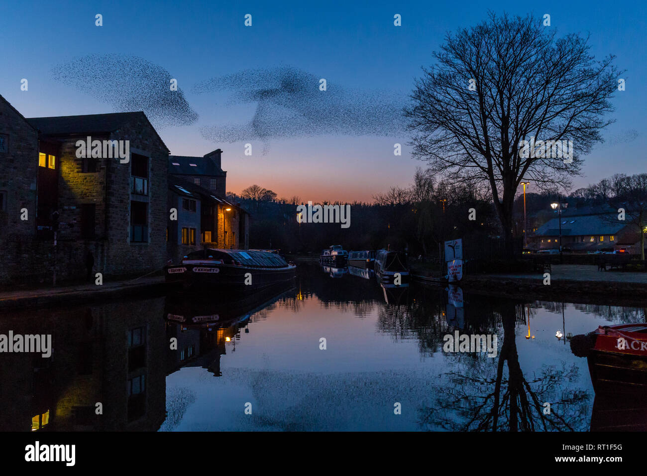 Skipton, North Yorkshire, UK. Mittwoch, 27. Februar 2019. Starling murmurations mit Tausenden von Vögel weiter zu begeistern Einheimische in der North Yorkshire Markt Stadt Skipton. Die Vögel haben vor kurzem Ihre abendlichen Ritual aus dem Randgebiet der Stadt der Himmel über dem Hafenbecken auf dem Leeds & Liverpol Kanal verschoben. Quelle: Tom Holmes Fotografie/Alamy leben Nachrichten Stockfoto