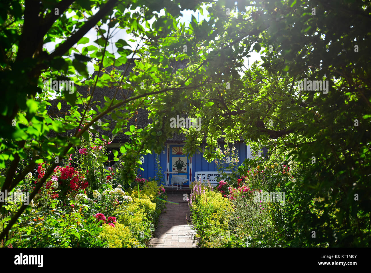 Deutschland, Zingst, Garten und Haus Stockfoto