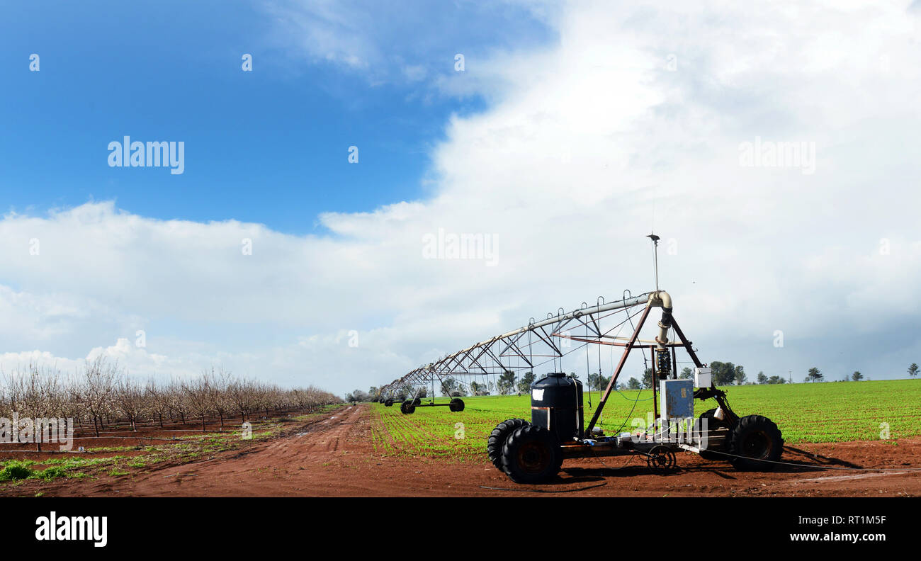 Center - pivot Bewässerung Stockfoto