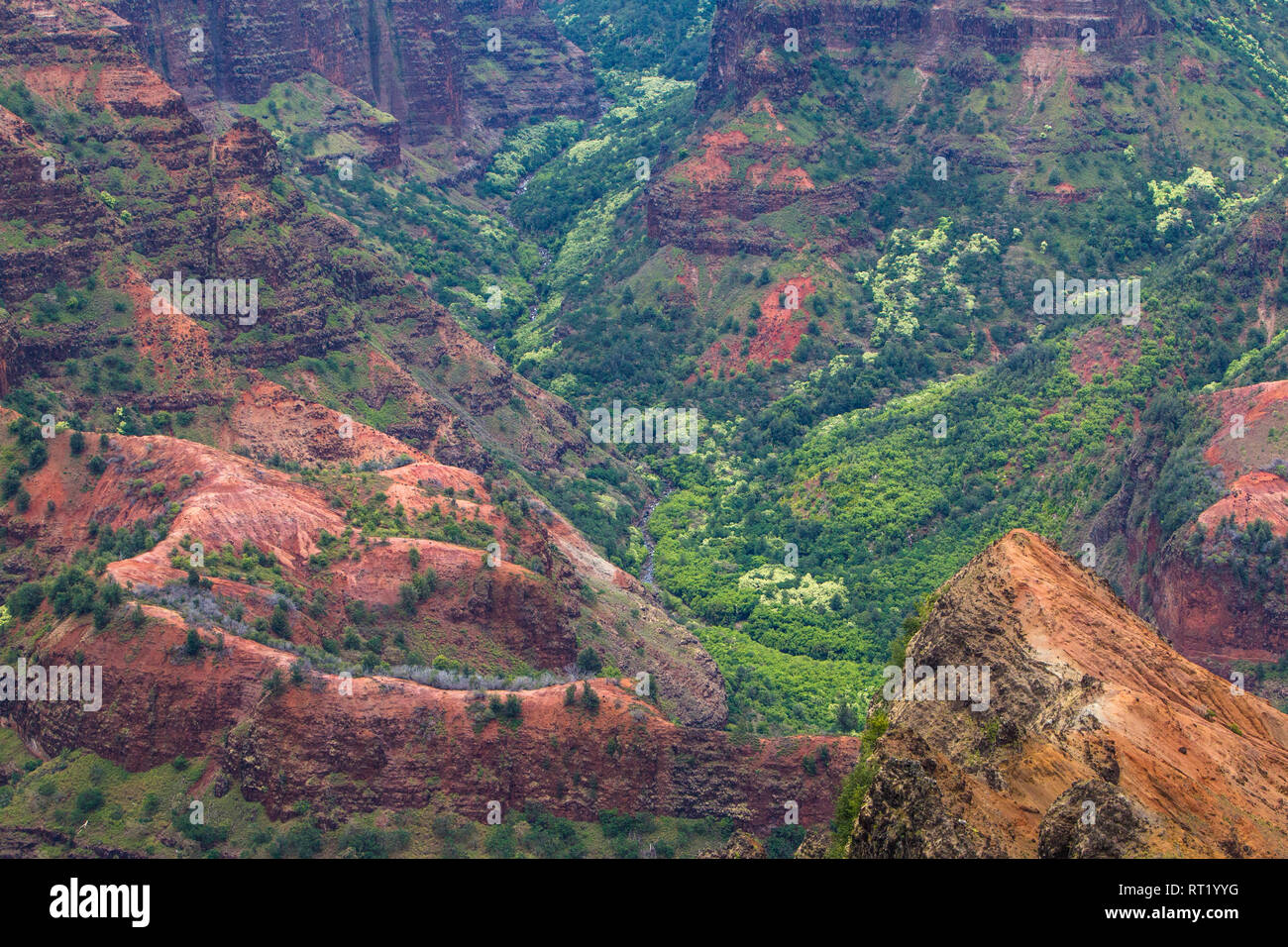 Waimea Canyon am letzten Tag einer Mal auf Kauai, beschloss ich das Laufwerk bis zu machen die Majestät des Waimea Canyon zu sehen, zu sagen, es war Stockfoto
