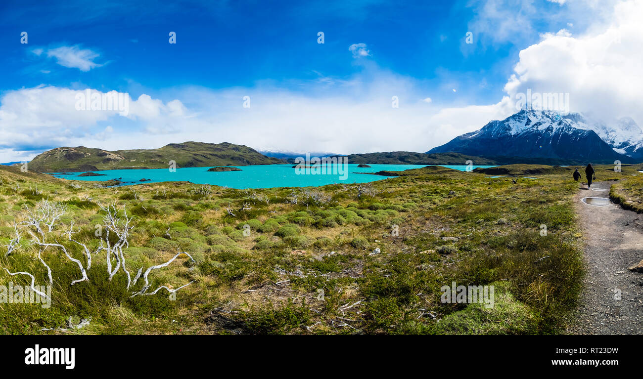 Chile, Patagonien, Torres del Paine Nationalpark, Lago Nordenskjold Stockfoto
