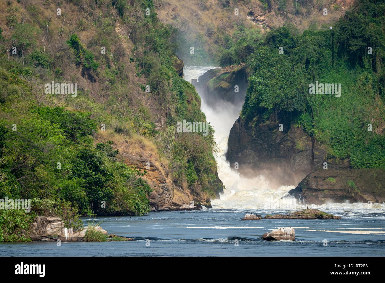 Murchison Falls von der Victoria Nil im Murchison Falls National Park, Northern Uganda, Ostafrika Stockfoto