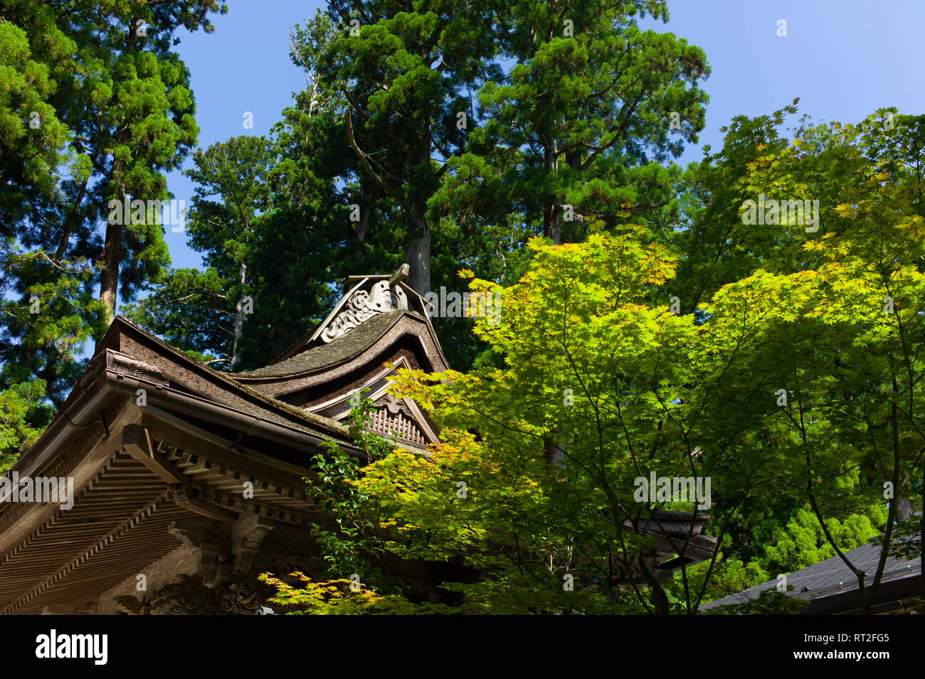 Mount Koya, Präfektur Wakayama, Japan. Stockfoto