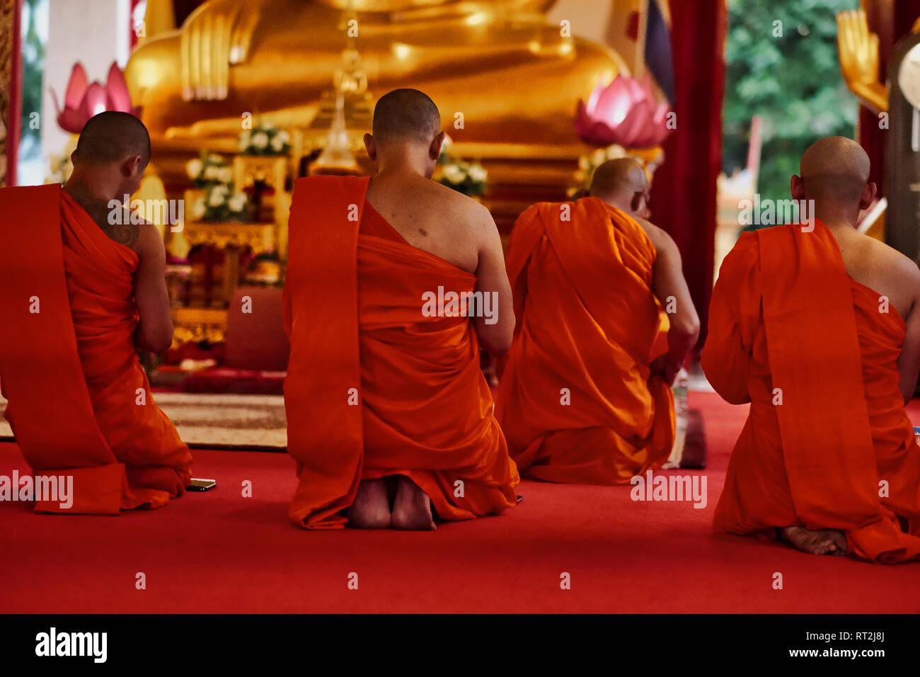 Mönche montiert für Abend Mediation und Gebet vor einer Buddha-statue im Wat Mongkon "Nimit", Phuket, Phuket, Thailand Stockfoto