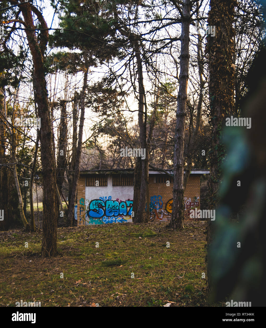Schöne Graffiti hinter den Bäumen Stockfoto
