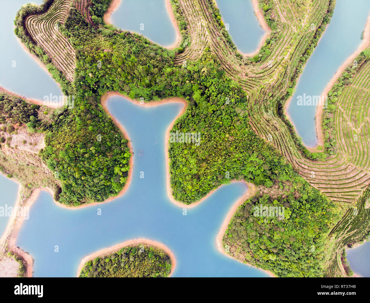 Luftaufnahme von Tausend Island Lake. Blick von oben auf die Süßwasser-Qiandaohu. Versunkene Tal in Jingdezhen Land, Hangzhou, Provinz Zhejiang, China. Stockfoto