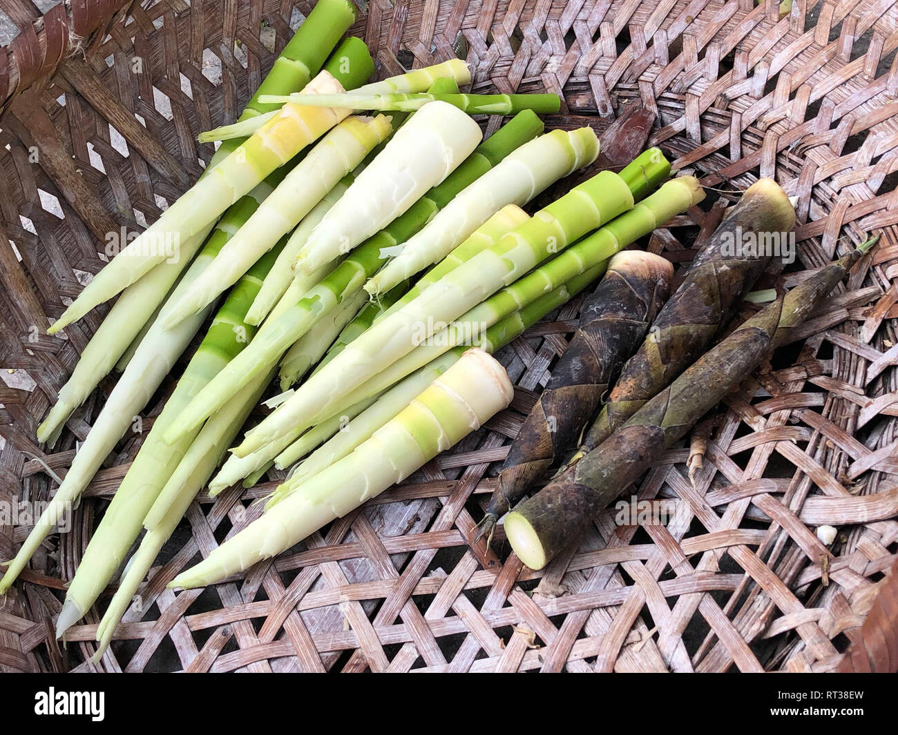 Vorbereitung von Bambus sprieen. Reinigung Frischer Bambus. Gesunde  vegetarische Nahrung Stockfotografie - Alamy
