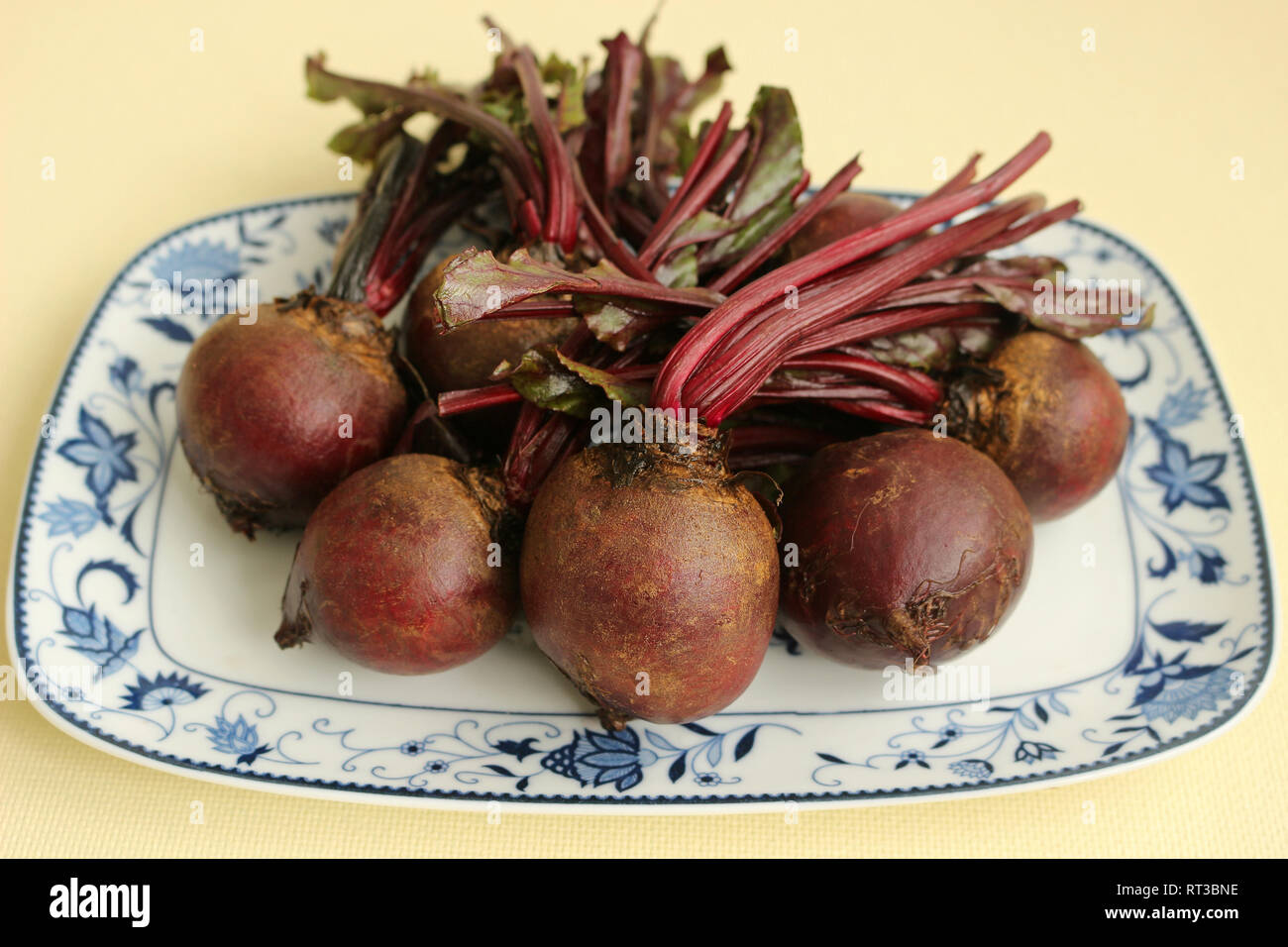 Ein Bündel ungekocht Ganze rote Rüben mit Stängel, auf eine blaue und weiße Platte Stockfoto