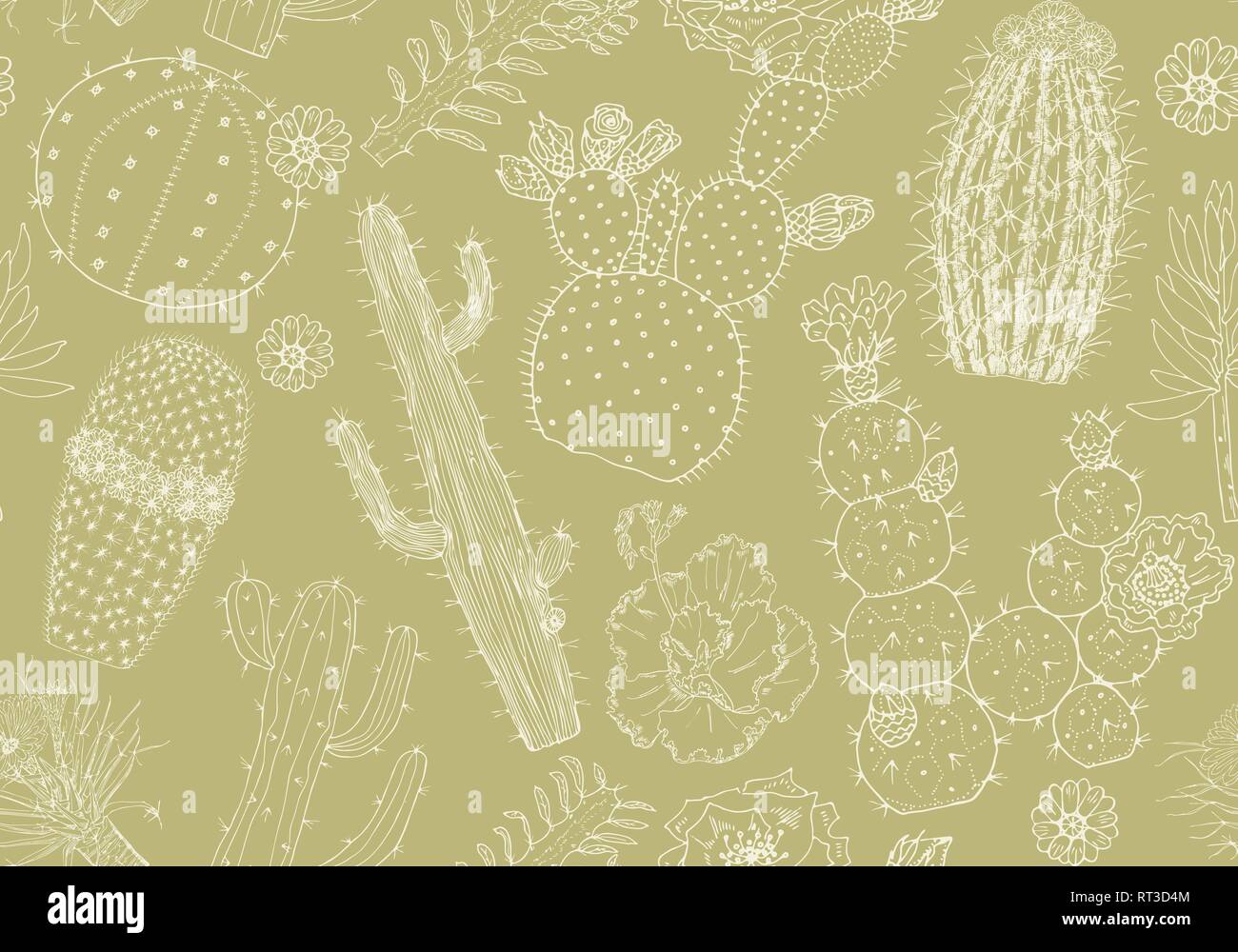 Cactus nahtlose Muster und Blumen. Gemütliche cute Elemente. Sammlung von tropischen Sukkulenten und Pflanzen in Vintage doodle Stil. Graviert Hand gezeichnet Stock Vektor