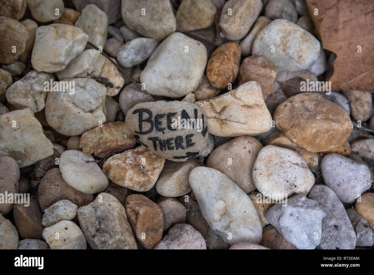 Stein Garten am See Stadt, Florida Veterans Administration Medical Center. Die Steine sind von Hand bemalt und in einen kleinen Garten in der Nähe der entr platziert Stockfoto