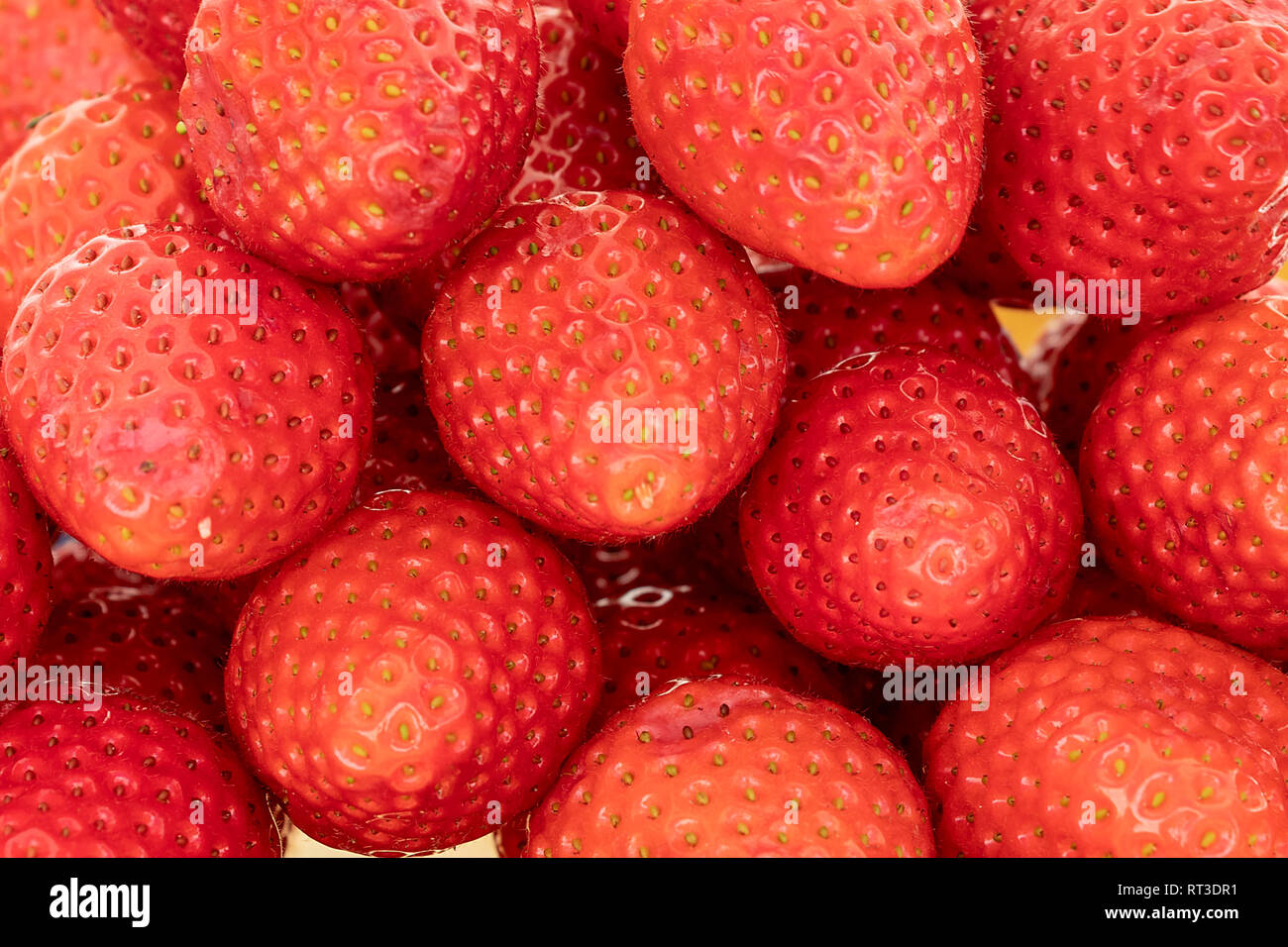 Frische Erdbeeren in einem Markt Stockfoto
