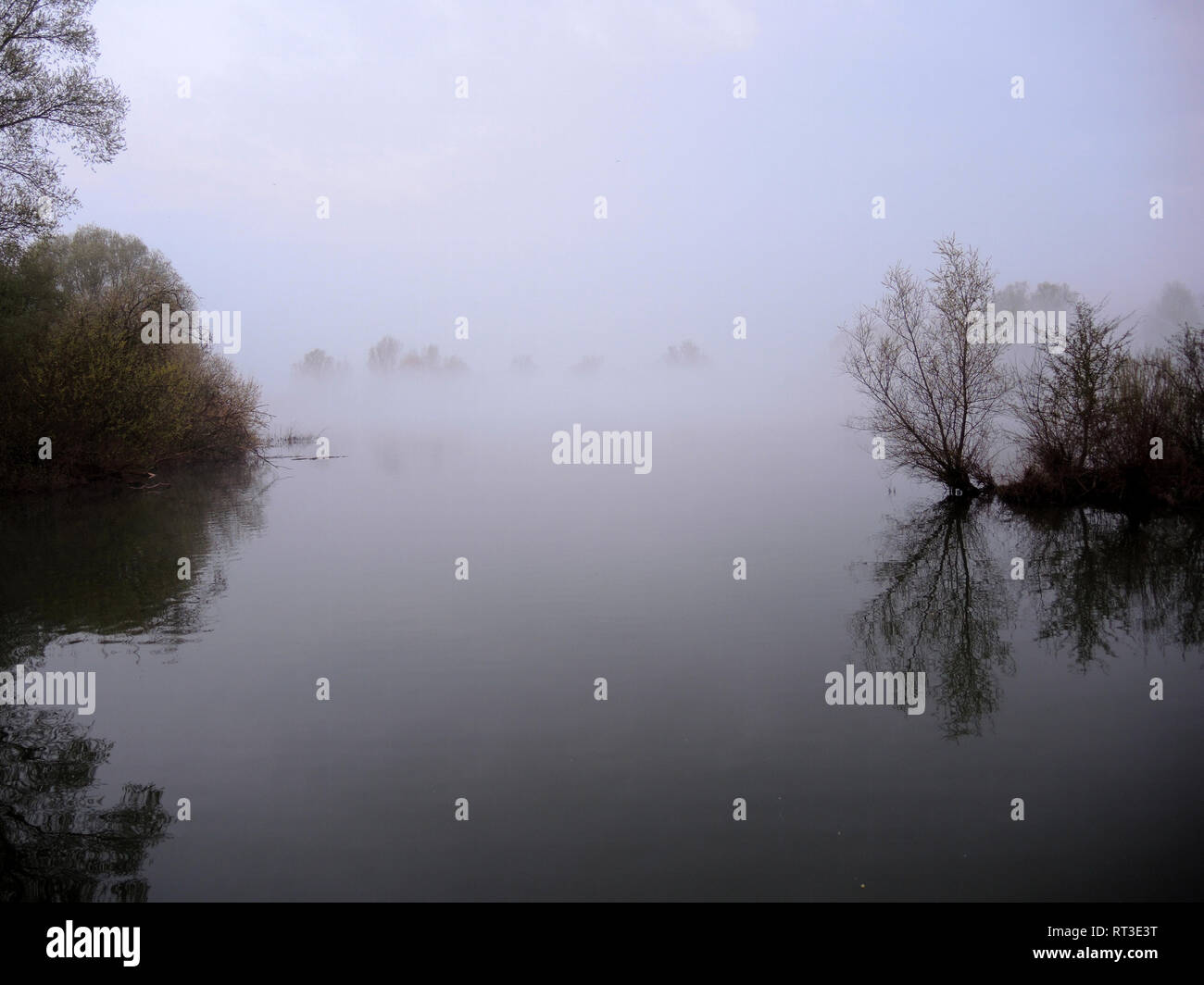 Altmuehl See, Fränkische Seenplatte, fränkischen See, Frühling Stimmung, Landschaft, Lebensraum Wasser, Vögel, Morgenstimmung im See, See, wa Stockfoto