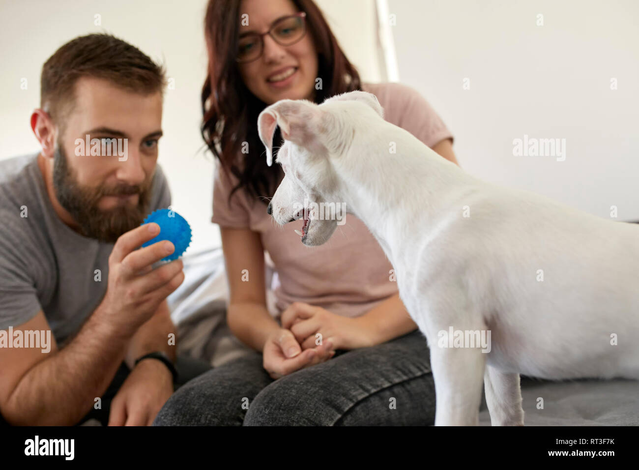 Paar spielen mit Hund zu Hause Stockfoto