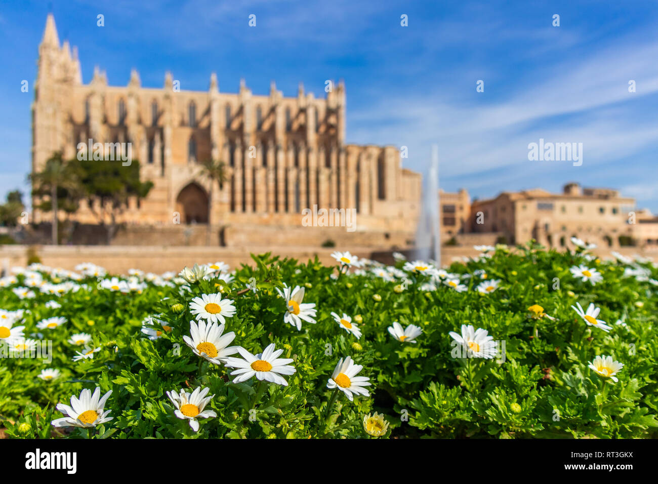 Palma Kathedrale La Seu, Palma de Mallorca, Mallorca, Balearen, Spanien Stockfoto