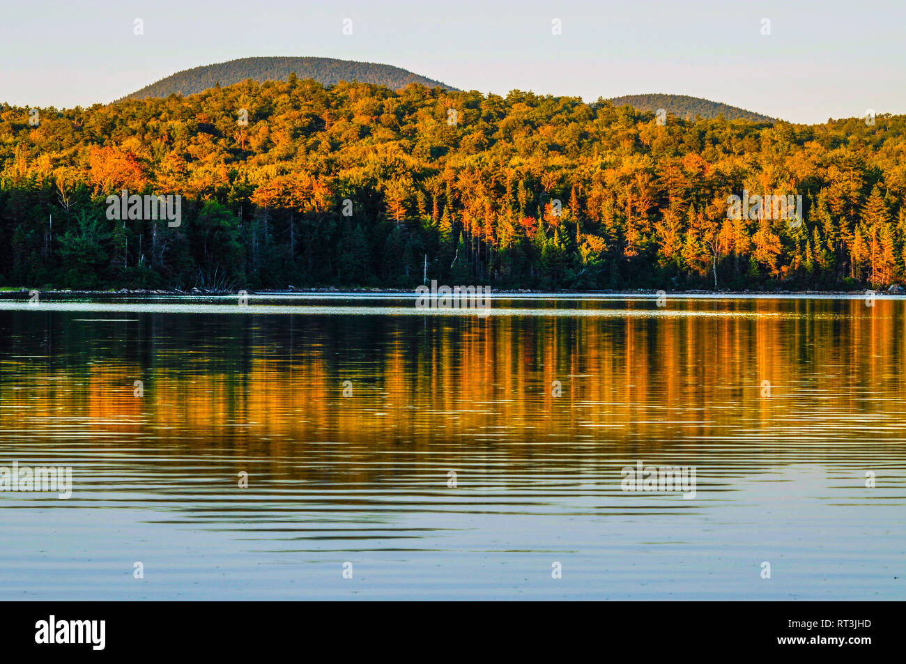 Reflexionen über Cedar Lake im Herbst im Westen Kanadas Seen Wilderness Area im Adirondack Forest Preserve im Staat New York Stockfoto