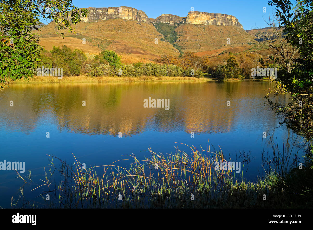 Sandstein Berge und Teich mit Reflexion im Wasser, im Royal Natal National Park, Südafrika Stockfoto