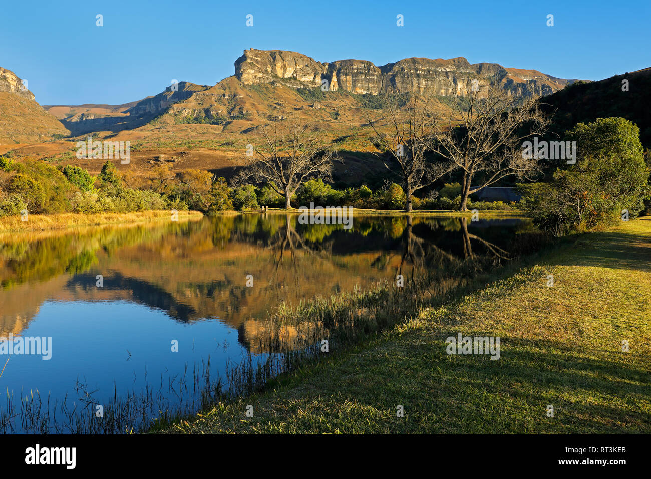 Sandstein Berge und Teich mit Reflexion im Wasser, im Royal Natal National Park, Südafrika Stockfoto