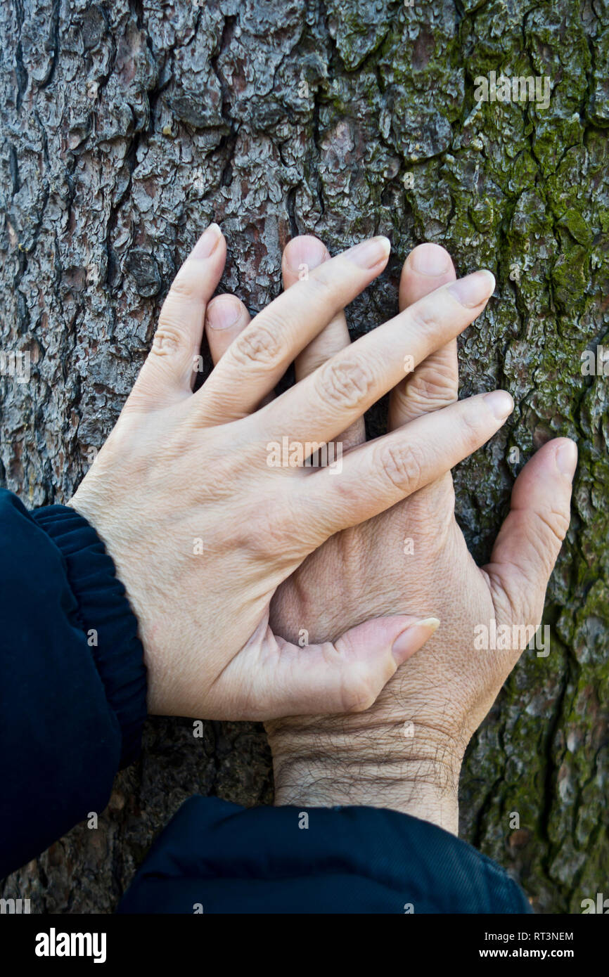 Mann und Frau Hände berühren einen Baumstamm Stockfoto