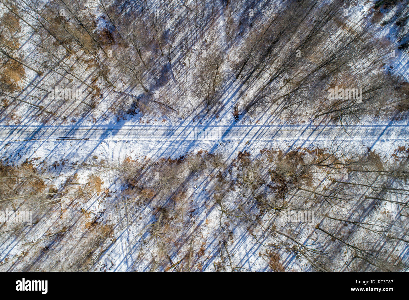 Gerade Straße durch Winter Forest - Luftbild, Deutschland Stockfoto