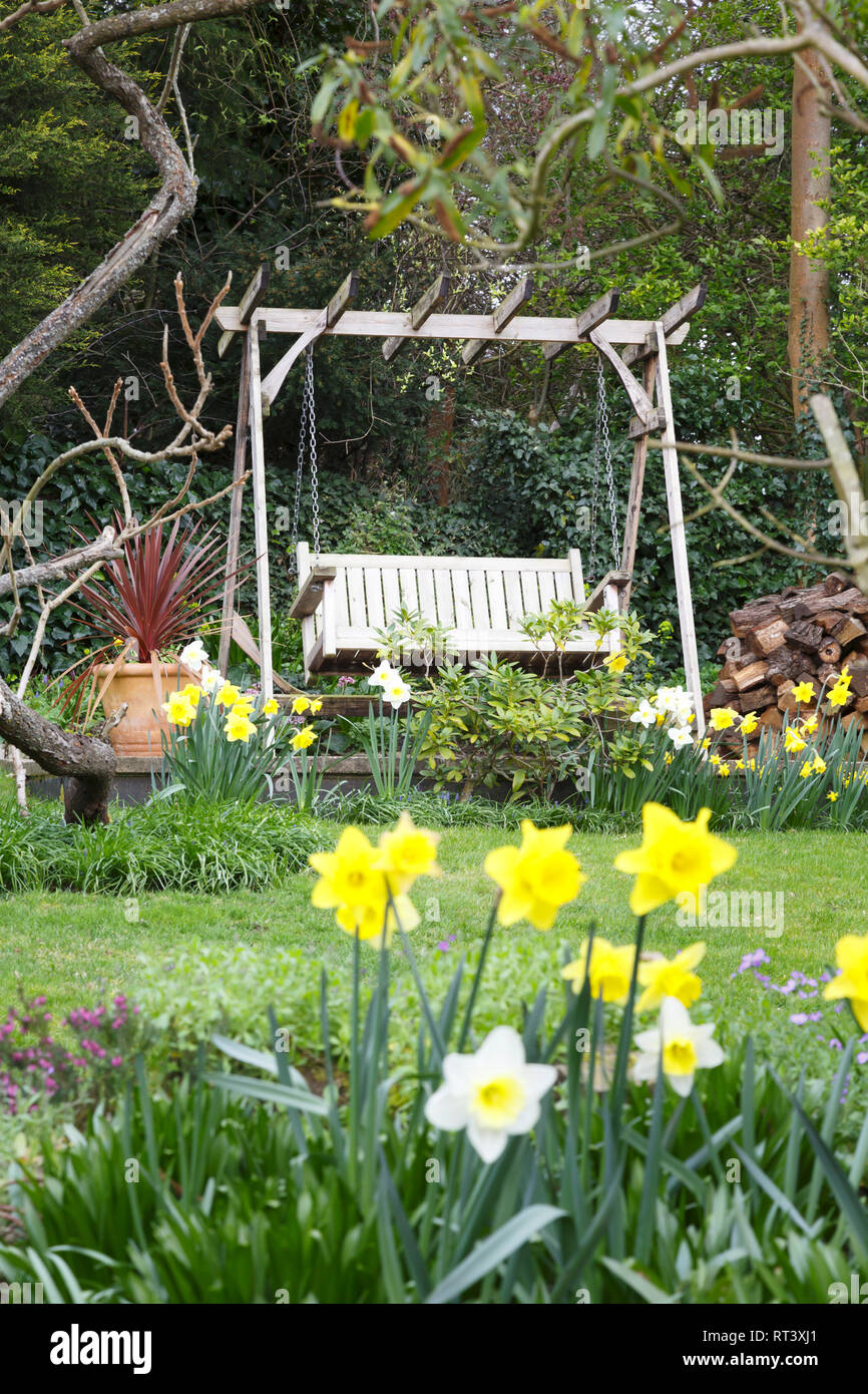 Detail eines Englischen Garten im Frühjahr mit Narzissen und eine Schaukel Bank Stockfoto