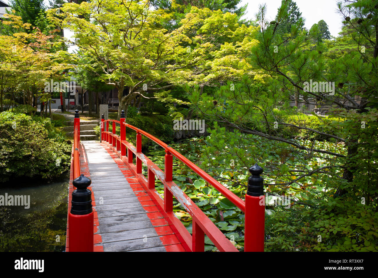 Mount Koya, Präfektur Wakayama, Japan. Stockfoto