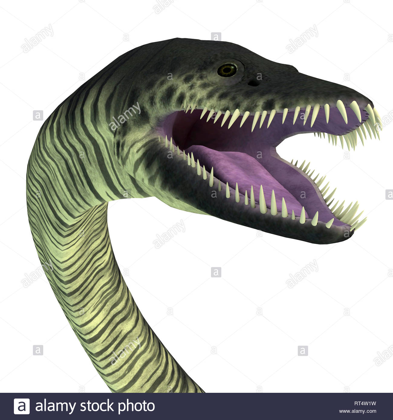 Elasmosaurus Platyurus Stockfotos & Elasmosaurus Platyurus Bilder Alamy