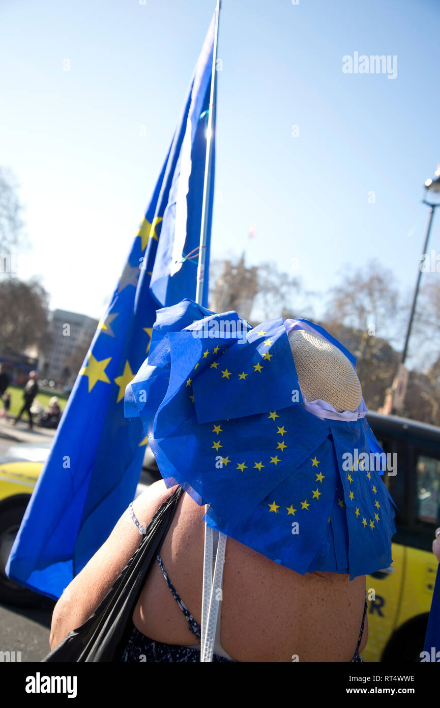 Westminster, 26. Februar 2019. Bleiben ein Demonstrant trägt ein Sonnenhut mit europäischen Flaggen dekoriert. Stockfoto