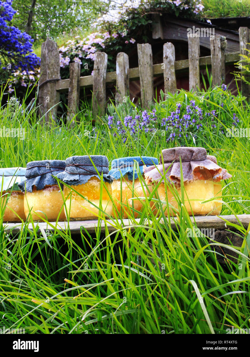 Honig in Hobbiton Stockfoto