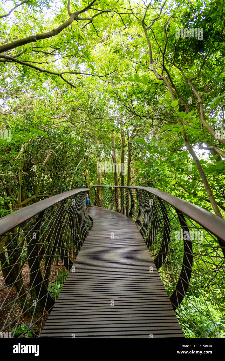 Der Botanische Garten von Kirstenbosch, Südafrika Stockfoto