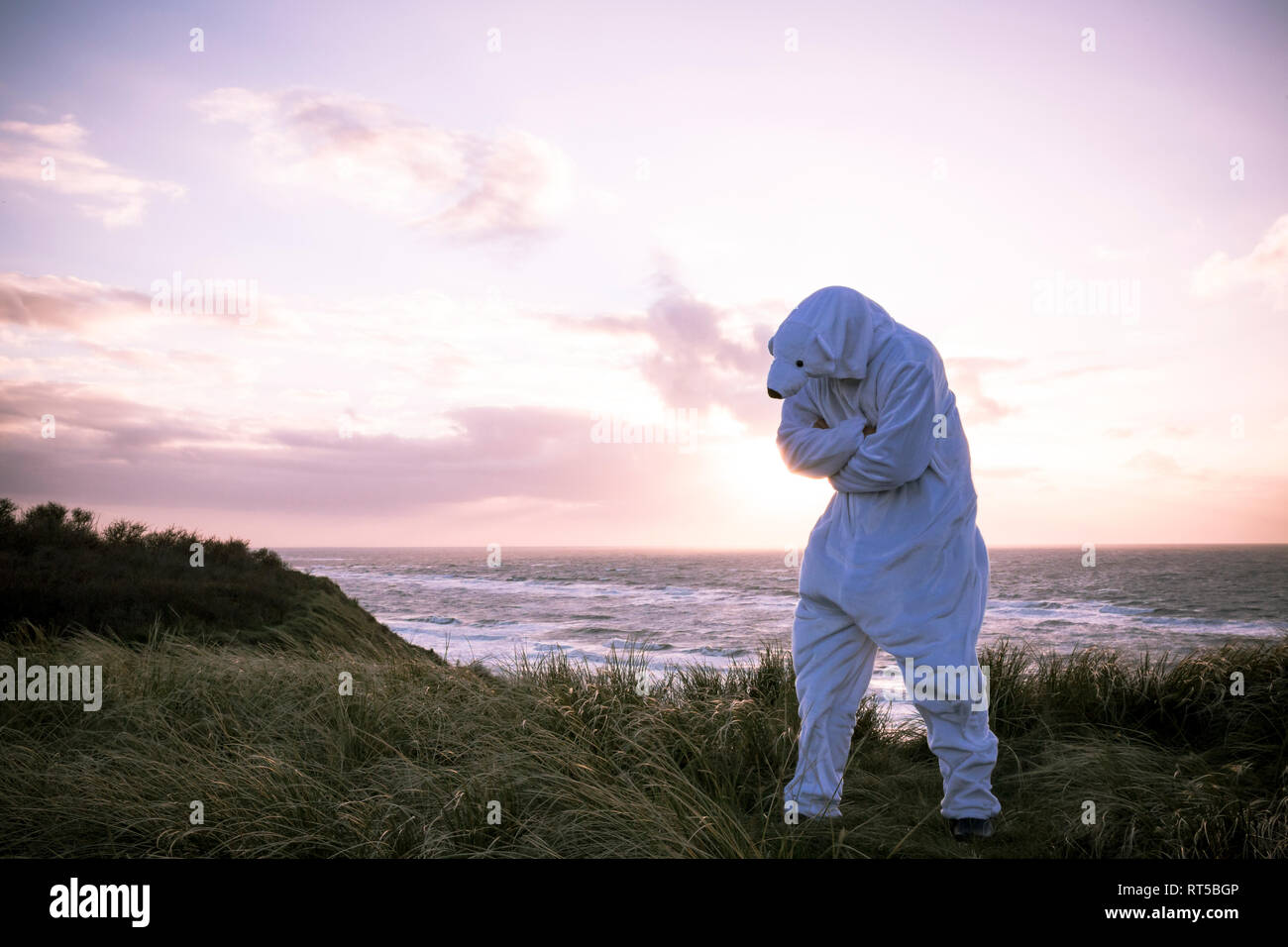 Dänemark, Nordjuetland, Mann, der Eisbär Kostüm am Strand Stockfoto