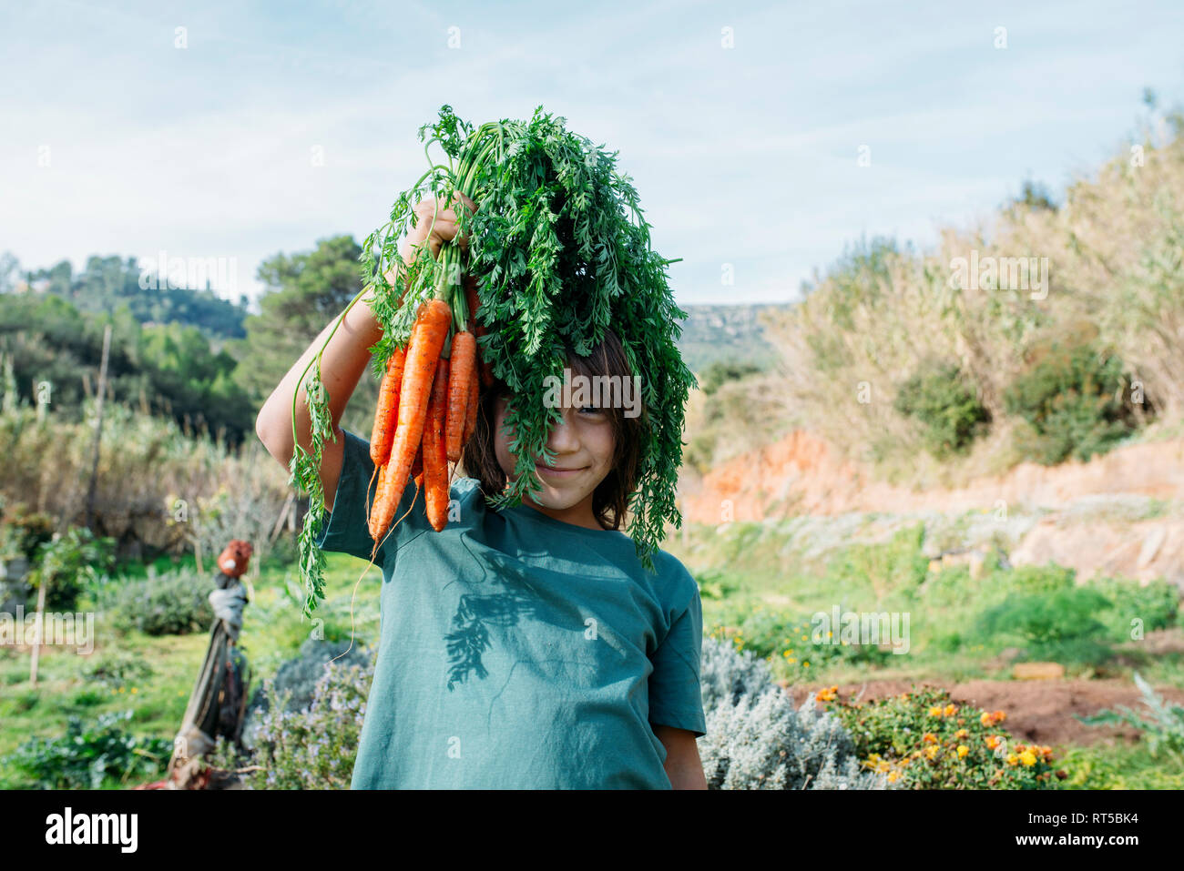 Junge im Gemüsegarten, halten ein paar Karotten Stockfoto