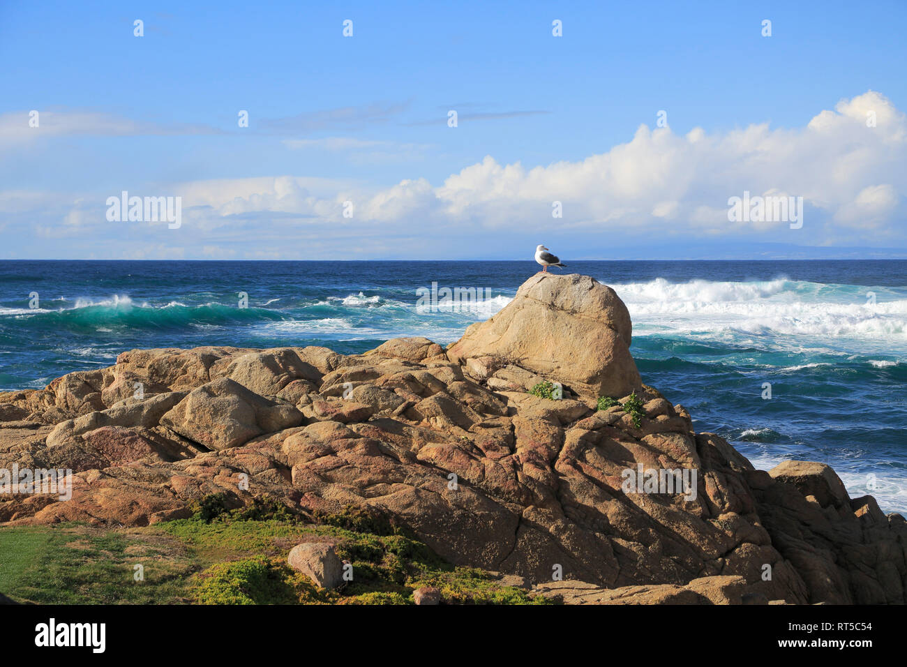 17 Mile Drive, felsigen Küste, Kieselstrand, Monterey Halbinsel, Pazifischer Ozean, Kalifornien, USA Stockfoto