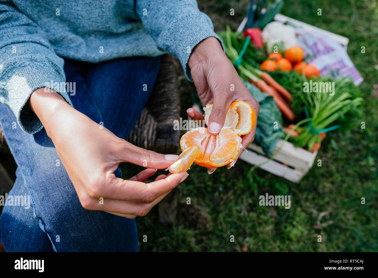 Frau Peeling ein Tangerine, eine Pause in einem Gemüsegarten Stockfoto