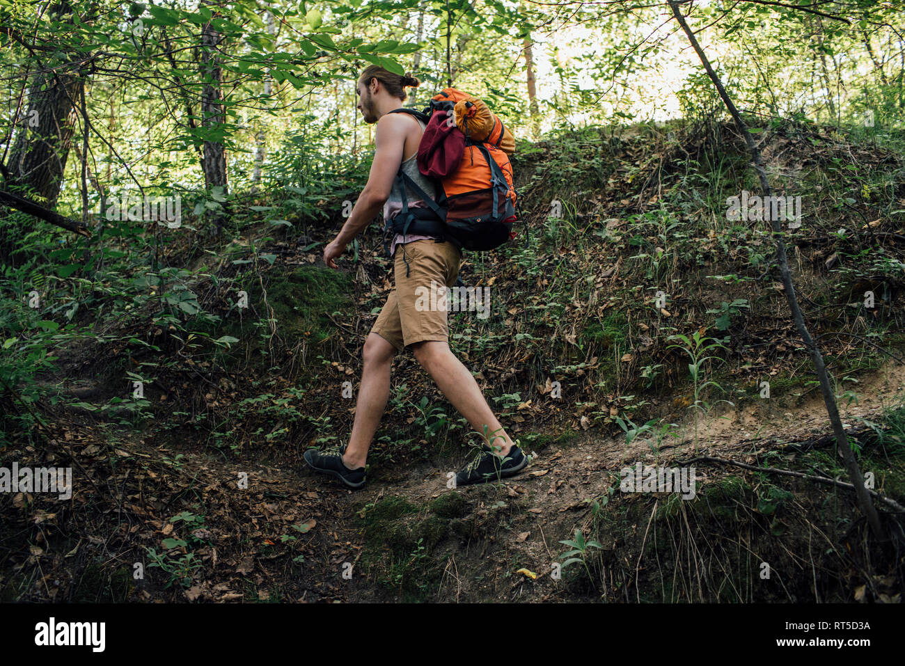 Junger Mann mit Rucksack wandern im Wald Stockfoto