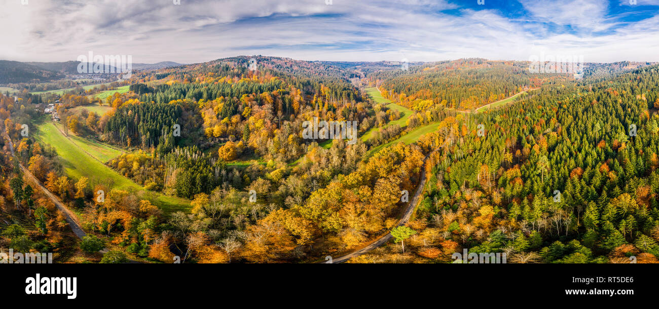 Deutschland, Baden-Württemberg, Schwäbisch Fränkischer Wald, Luftaufnahme von Wald im Herbst Stockfoto