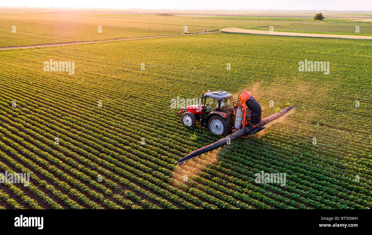 Serbien, Vojvodina, Luftaufnahme von einem Traktor spritzen Sojabohnen ernten Stockfoto