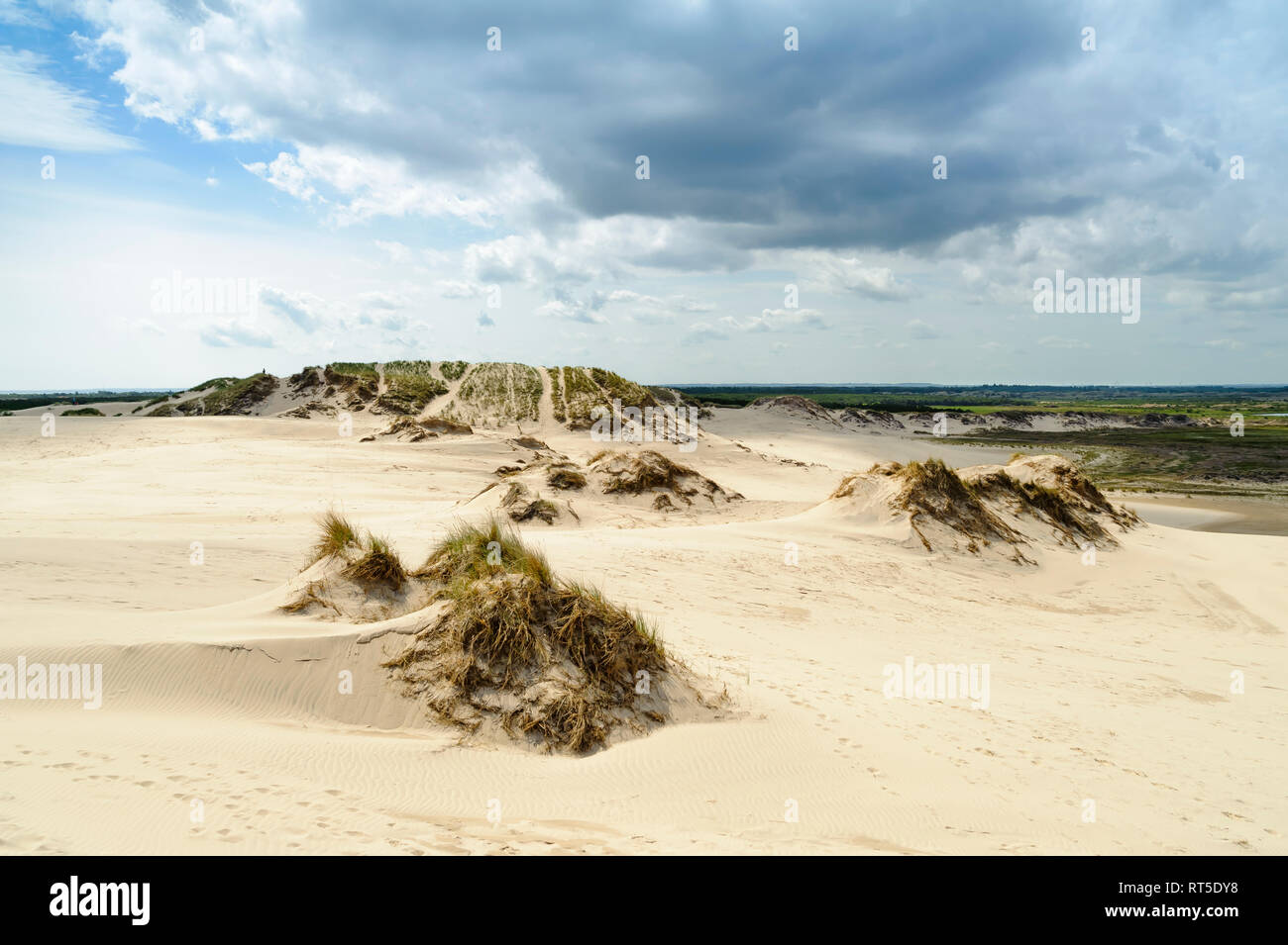 Dänemark, Nordjütland, Rabjerg Mile schalten Dune Stockfoto