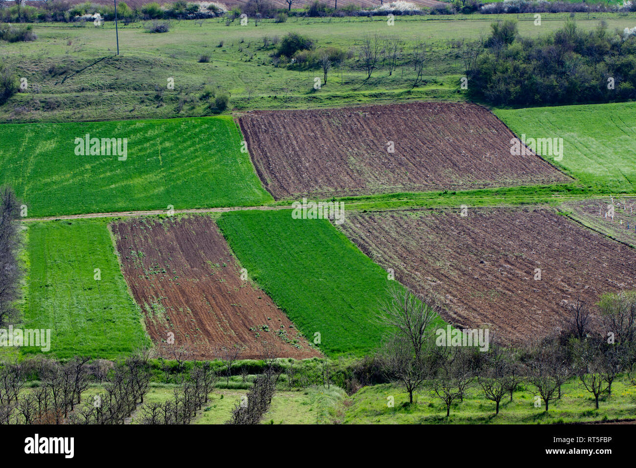Schöne Ackerland in der Vojvodina, Obstgärten und landwirtschaftlichen Flächen in der Nähe der Fruska Gora, Serbien fruchtbaren Boden Stockfoto